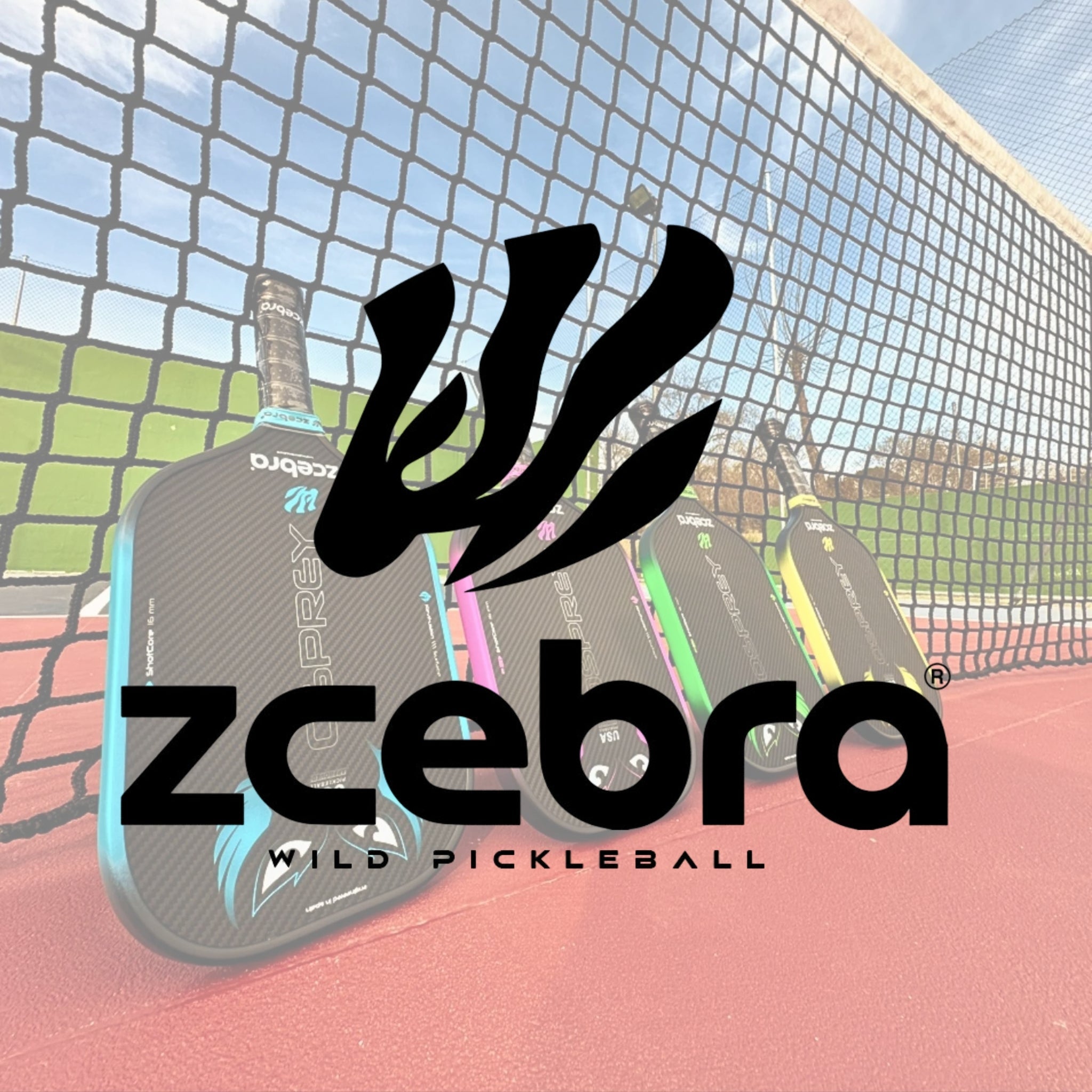 Zcebra Pickleball
